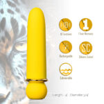 Next Product Image